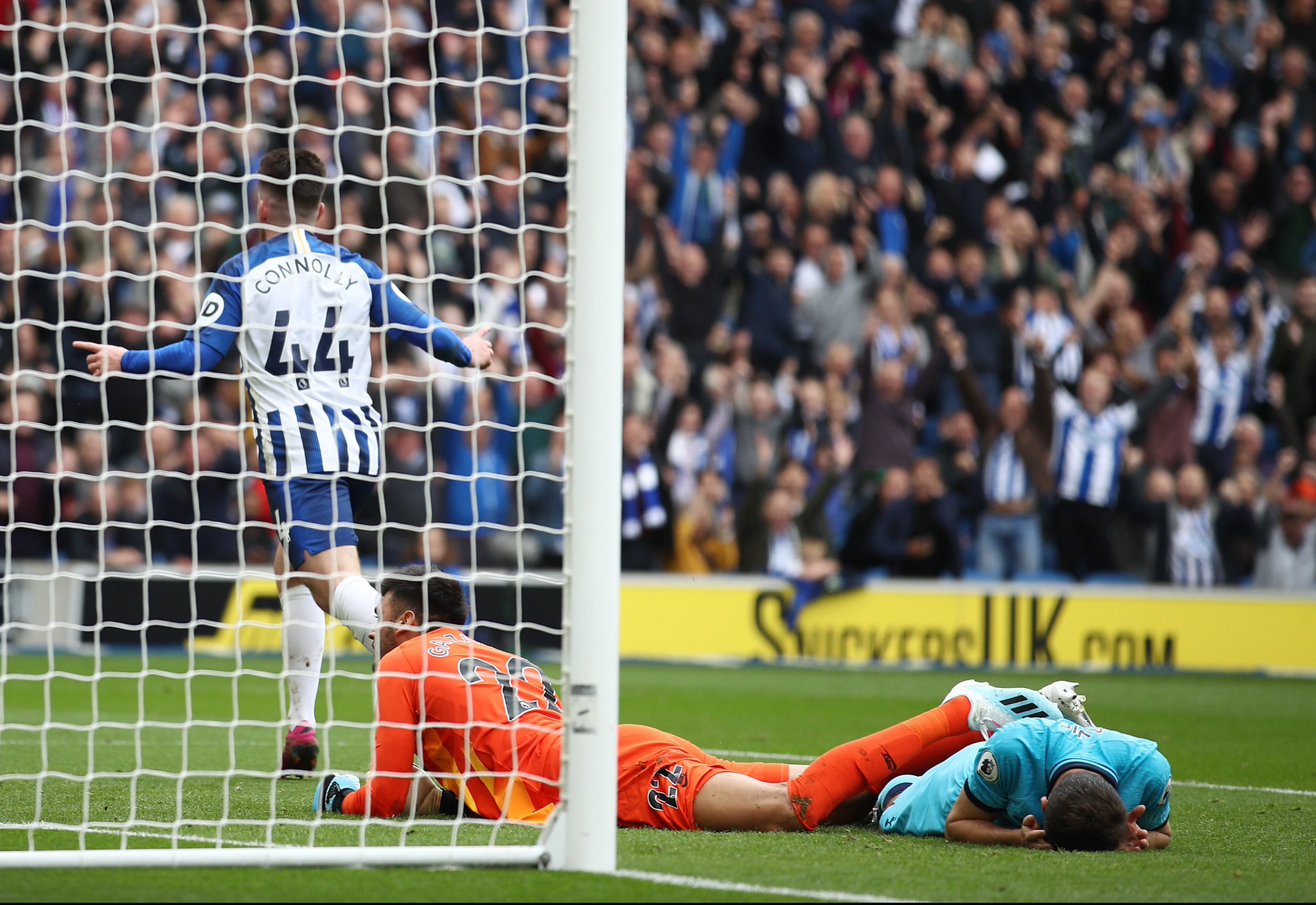 动植物栖息 动植物栖息